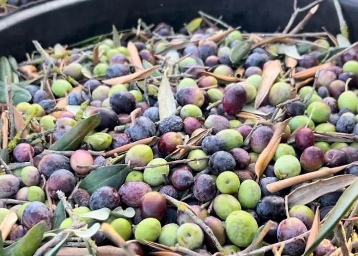 Trullo La Meringa, Charming In 펜션